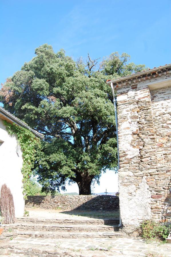 Bed and Breakfast La Vallee De Gaia Saint-Hilaire-de-Lavit Exterior foto